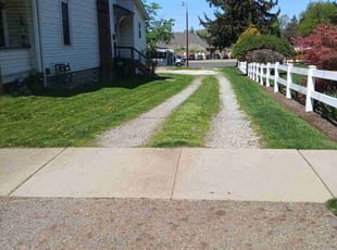 Mike P.'s Yard Cutting service result