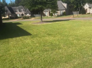 Charles G.'s Lawn Mowing service result