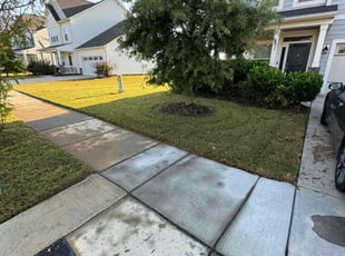 Marcia H.'s Lawn Care service result
