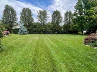 Aaron R.'s Yard Cutting service result