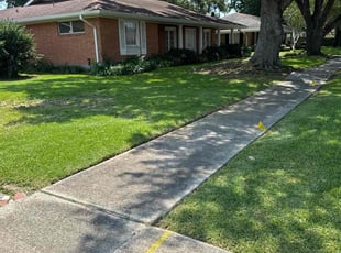 Diana H.'s Lawn Service service result