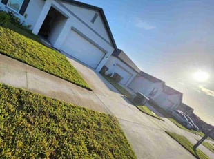 Michael W.'s Lawn Mowing service result