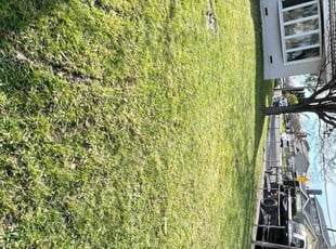 Linda R.'s Lawn Service service result
