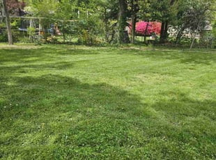 Jerry F.'s Lawn Mowing service result