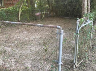 Bush Trimming by Avery Evans for Myra U. in Pensacola, FL