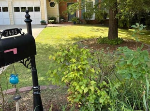 Aaron G.'s Grass Cutting service result