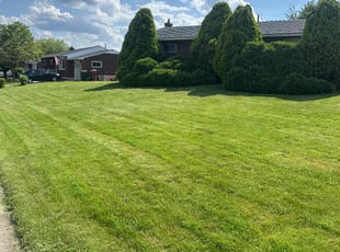 Jim B.'s Grass Cutting service result
