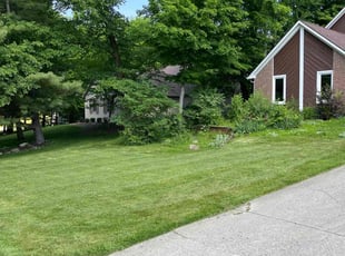 Chad H.'s Lawn Care service result