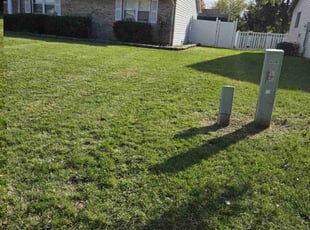 Tina B.'s Lawn Maintenance service result