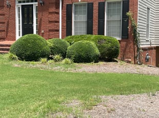 Bush Trimming by Delbert Rosa for Emzie G. in Lawrenceville, GA