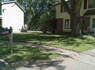 Jason S.'s Lawn Mowing service result