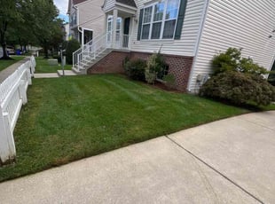 Shishir D.'s Lawn Service service result
