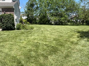 Dorothy R.'s Lawn Mowing service result