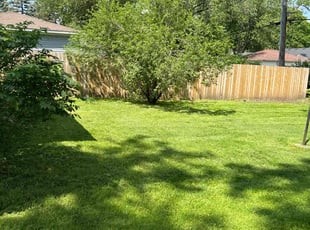 Travis N.'s Lawn Care service result