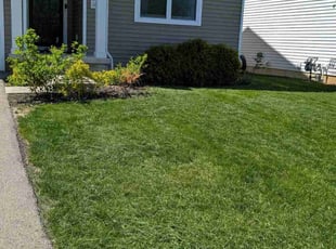 Lloyd M.'s Lawn Mowing service result