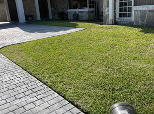 Michel M.'s Lawn Service service result