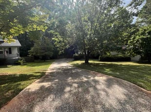 Barbara B.'s Lawn Mowing service result
