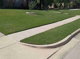 Curtis C.'s Lawn Mowing service result
