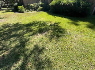 Demian O.'s Yard Cutting service result
