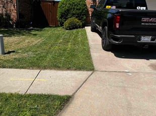 Yan L.'s Lawn Maintenance service result
