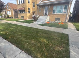 Jill M.'s Lawn Mowing service result