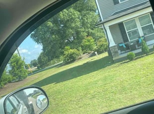 Bryant V.'s Lawn Care service result