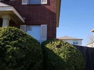 Bush Trimming by Brian Sengele for Gary P. in Universal City, TX