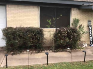 Bush Trimming by TERRY JOHNSON for Desiree E. in North Richland Hills, TX