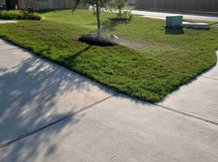 Miguel M.'s Lawn Mowing service result