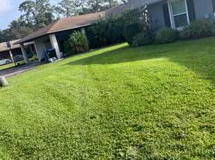 Elizabeth M.'s Yard Cutting service result