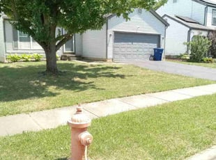 Ronald L.'s Lawn Mowing service result