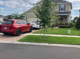 Charlotte M.'s Lawn Care service result