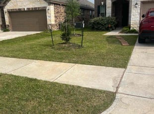 Sidney W.'s Lawn Mowing service result