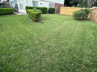 Karen T.'s Lawn Care service result