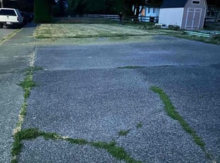 Charlene M.'s Lawn Mowing service result