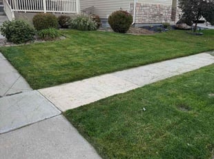Mike S.'s Lawn Service service result