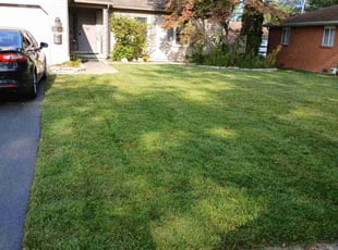 Josh W.'s Yard Cutting service result