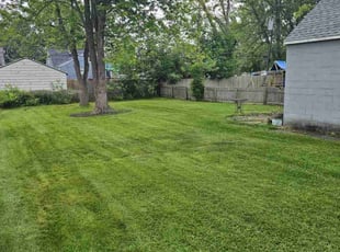 Paula B.'s Lawn Maintenance service result