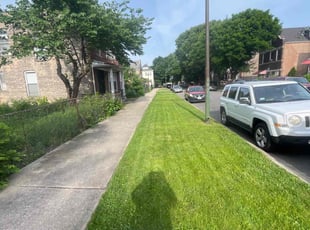 Doritha I.'s Lawn Service service result