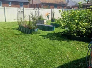 Marie N.'s Lawn Mowing service result