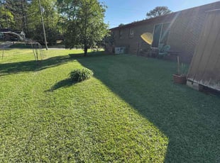 nancy t.'s Lawn Service service result