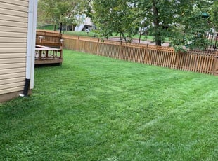 Dede F.'s Lawn Mowing service result