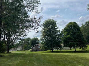 Angela C.'s Lawn Service service result