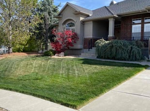Kathy L.'s Yard Cutting service result