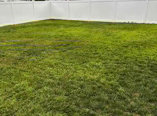 Sandra L.'s Lawn Maintenance service result