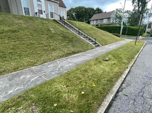 Delwyn B.'s Yard Cutting service result