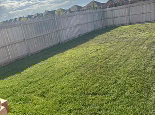 Isiah m.'s Lawn Care service result