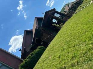 Gerard Z.'s Lawn Care service result