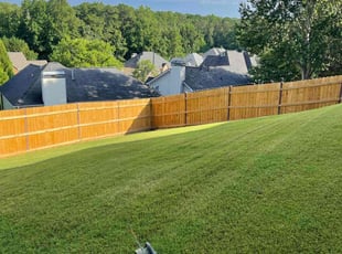 Dan M.'s Lawn Service service result