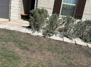 Landscaping by Irvinsr Ventura for Elizabeth O. in Bastrop, TX